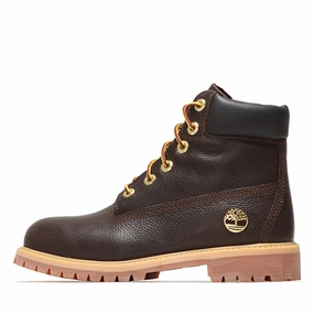 Timberland 6 Lace Up Waterproof Boot 'Espresso' (GS) - Dark Brown
